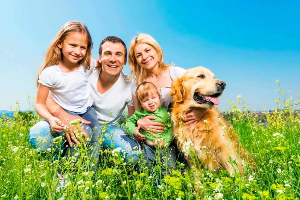 A Golden Retriever with their family.