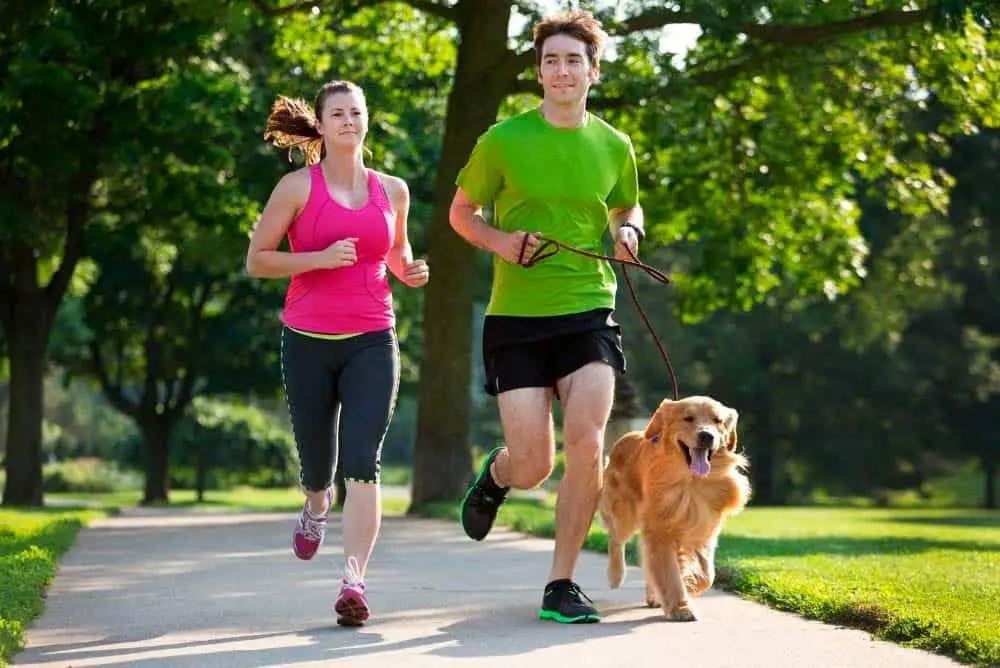 Couple running with their golden retriever.