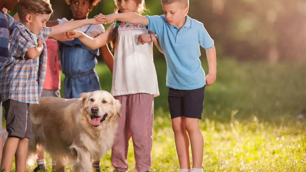 Young children playing games with a golden retriever.