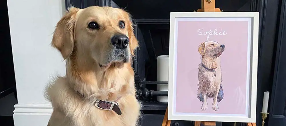 Gifts for people who love their golden retriever.
