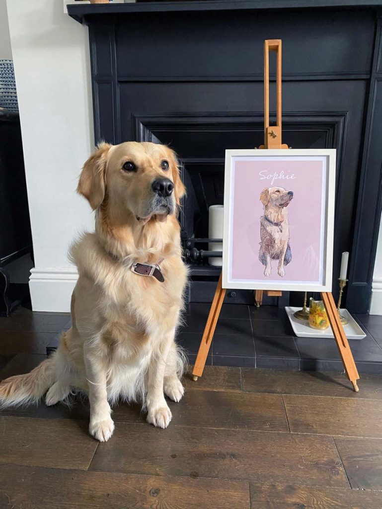Golden Retriever custom pet portrait.